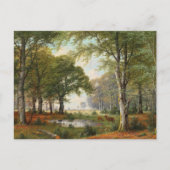 avondboslandschap briefkaart (Voorkant)