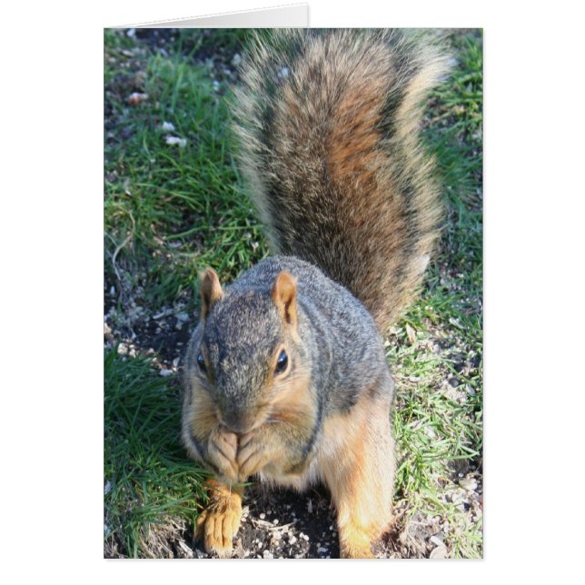 avondeten (Voorkant)