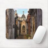 Avondlicht op de begraafplaats Recoleta Muismat (Met muis)