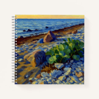 Avondlicht op de kust van Vormsi Notitieboek