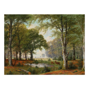 Avondlijk boslandschap perfect poster