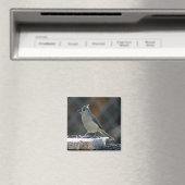 avondmaal magneet (Insitu (Vaatwasser))