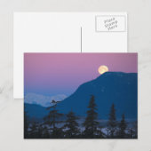 Avondschemering in Alaska Briefkaart (Voorkant / Achterkant)
