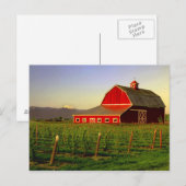 Avondse zon op een schuur in Washington Skagit Briefkaart (Voorkant / Achterkant)