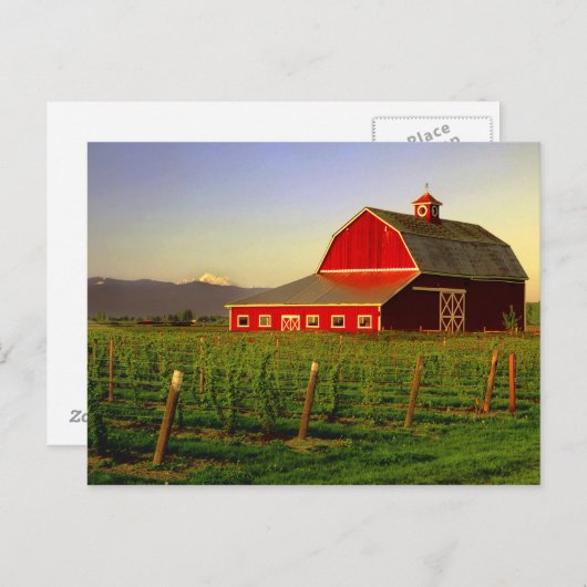 Avondse zon op een schuur in Washington Skagit Briefkaart (Voorkant / Achterkant)