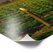 Avondse zon op een schuur in Washington Skagit Foto Afdruk (Hoek)