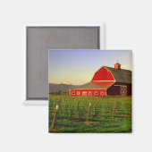 Avondse zon op een schuur in Washington Skagit Magneet (Voorkant / Achterkant)
