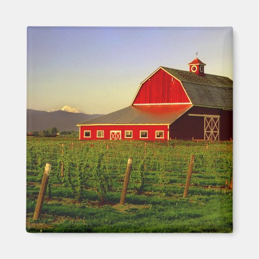 Avondse zon op een schuur in Washington Skagit Magneet (Voorkant)