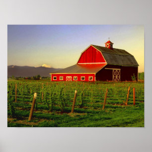 Avondse zon op een schuur in Washington Skagit Poster