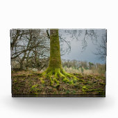 Avondstemming Fotoblokken (Voorkant)