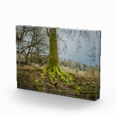 Avondstemming Fotoblokken (Rechts)
