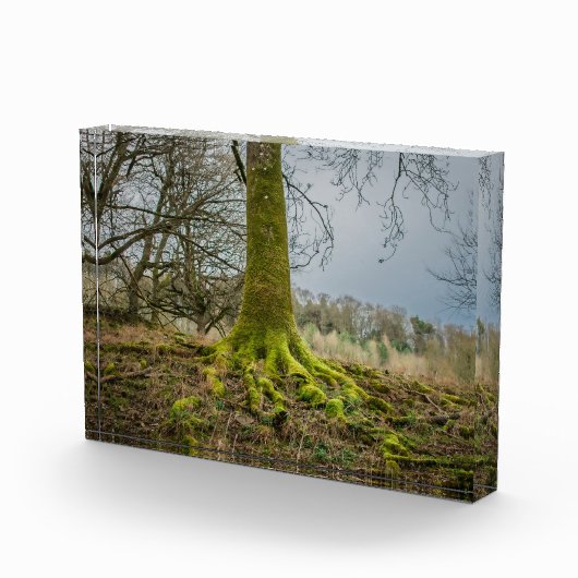 Avondstemming Fotoblokken (Rechts)