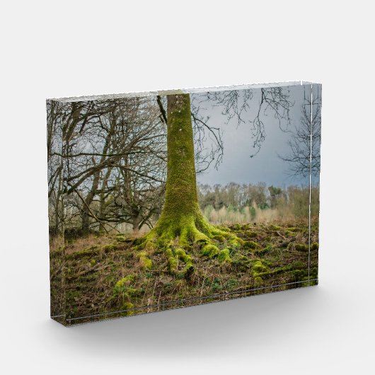 Avondstemming Fotoblokken (Links)
