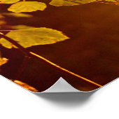 Avondzon in Finland Poster (Hoek)