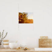 Avondzon in Finland Poster (Keuken)