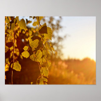 Avondzon in Finland Poster