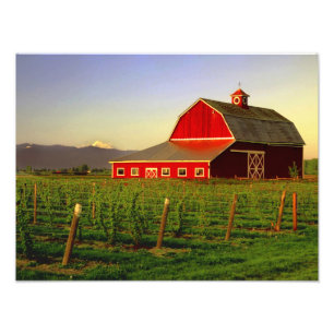 Avondzon op een schuur in Skagit, Washington Foto Afdruk