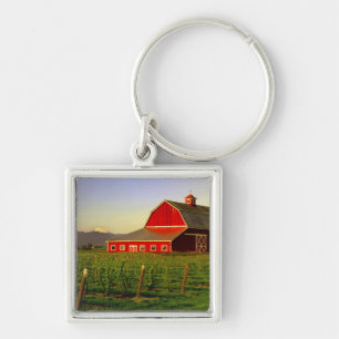 Avondzon op een schuur in Skagit, Washington Sleutelhanger