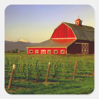 Avondzon op een schuur in Skagit, Washington Vierkante Sticker