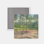 Avondzon, Surrey Hills Pines in Pastel Magneet (Voorkant / Achterkant)