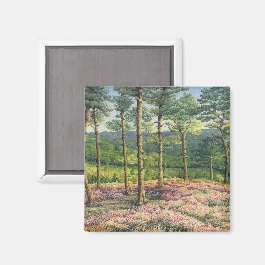 Avondzon, Surrey Hills Pines in Pastel Magneet (Voorkant / Achterkant)