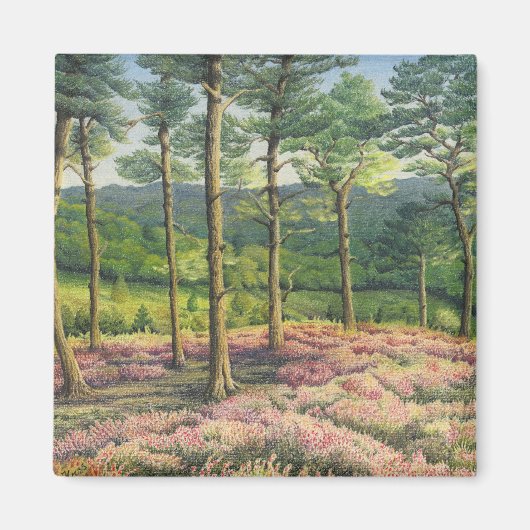 Avondzon, Surrey Hills Pines in Pastel Magneet (Voorkant)