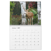 Avonturen in Fotografie Kalender (Jan 2027)