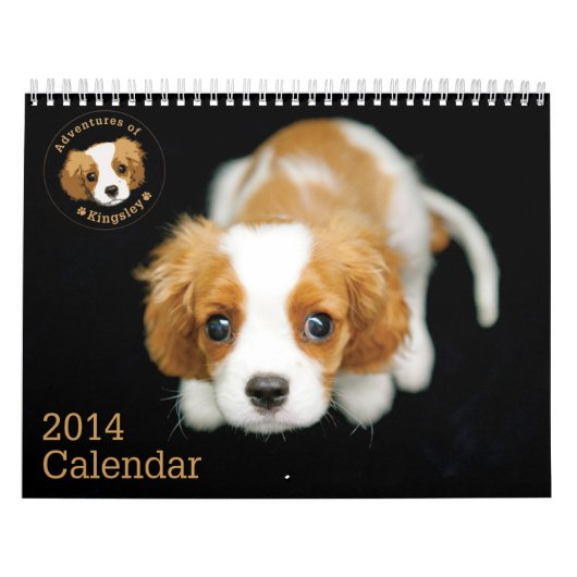 avonturen van de kalender Kingsley 2014 (Hoes)