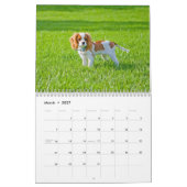 avonturen van de kalender Kingsley 2014 (Mar 2027)