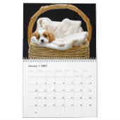 avonturen van de kalender Kingsley 2014 (Jan 2027)