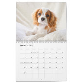 avonturen van de kalender Kingsley 2014 (Feb 2027)