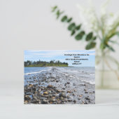 avonturen voor iedereen Zandjes, het briefkaart va (Staand voorkant)