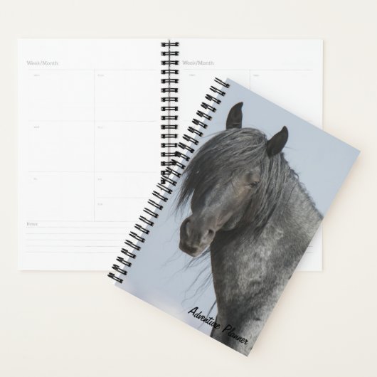 Avonturenplanner met Blue Zeus Planner (Display)