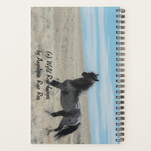 Avonturenplanner met Blue Zeus Planner (Achterkant)