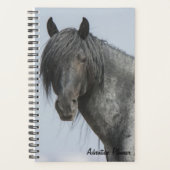 Avonturenplanner met Blue Zeus Planner (Voorkant)