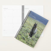 Avonturenplanner met Blue Zeus Planner (Display)