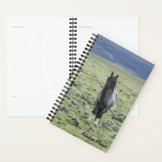 Avonturenplanner met Blue Zeus Planner (Display)