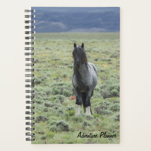 Avonturenplanner met Blue Zeus Planner (Voorkant)