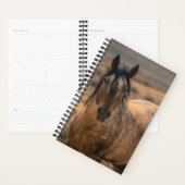 Avonturenplanner w/ Sir Behr Planner (Display)