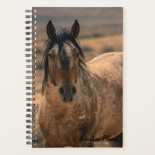 Avonturenplanner w/ Sir Behr Planner