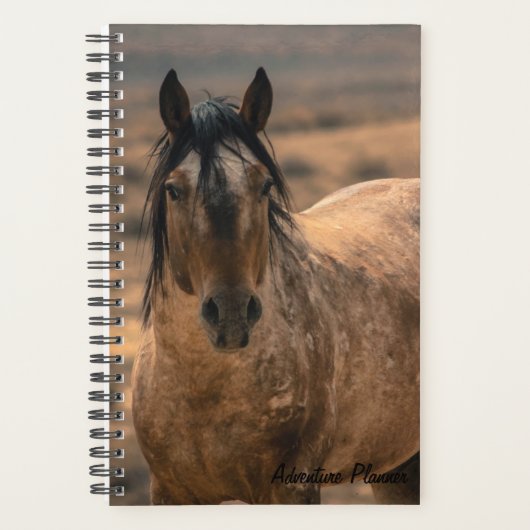 Avonturenplanner w/ Sir Behr Planner (Voorkant)