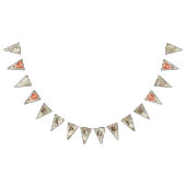 Avontuur Hete Luchtballonnen Explorer & Wereldkaar Vlaggetjes (Alle)