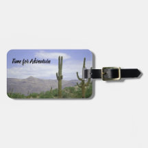 Avontuur Reizen Arizona Saguaro Cactus Zuidwesten
