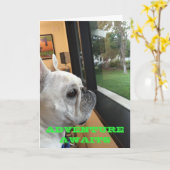 Avontuur wacht - Gelukkige Verjaardag Kaart (Gele Bloem)