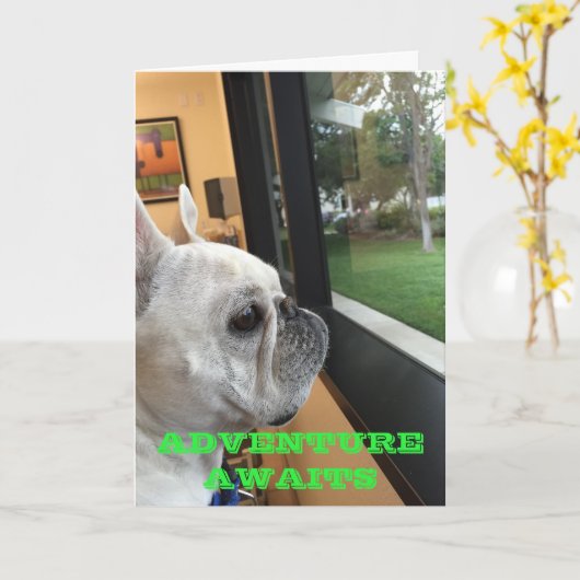 Avontuur wacht - Gelukkige Verjaardag Kaart (Gele Bloem)