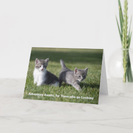Avontuur wacht op kitten notitiekaart