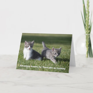 Avontuur wacht op kitten notitiekaart