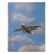 Avro RJ85 Jet Landt