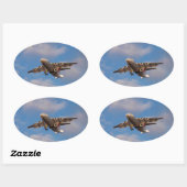Avro RJ85 Jet Landt Ovale Sticker (Vel)
