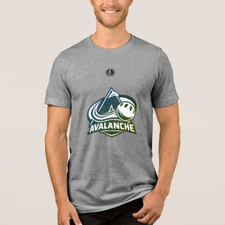 avs Tri-Blend shirt